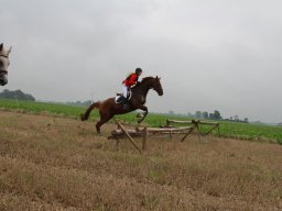 img_5972_web